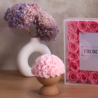 Le Memoire next to other Rococo products